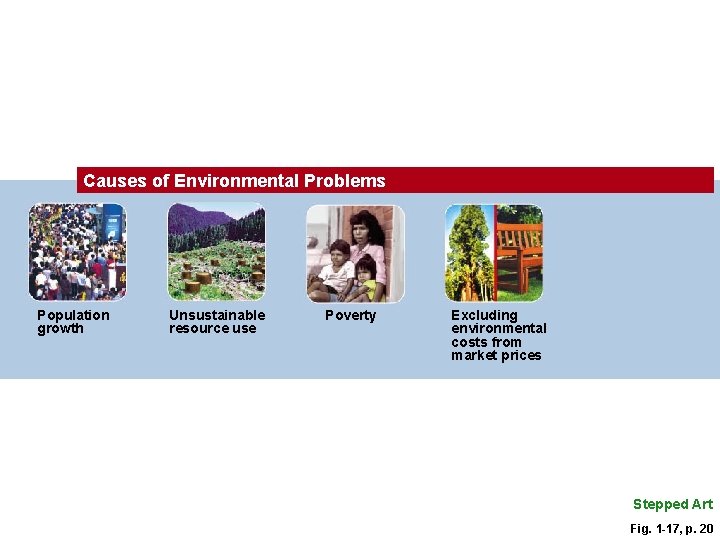 Causes of Environmental Problems Population growth Unsustainable resource use Poverty Excluding environmental costs from