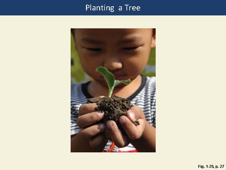 Planting a Tree Fig. 1 -25, p. 27 