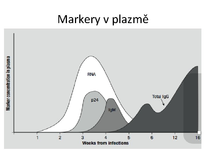 Markery v plazmě • (Obrázek s výskytem markerů v plazmě) 