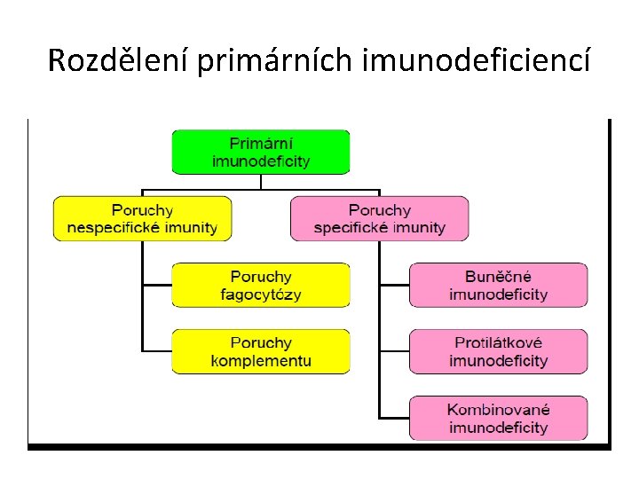 Rozdělení primárních imunodeficiencí Rozdělení primárních imunodeficiencí