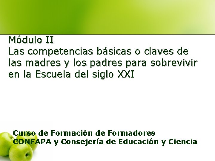 Módulo II Las competencias básicas o claves de las madres y los padres para