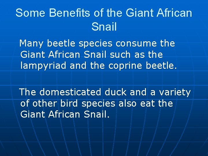 Some Benefits of the Giant African Snail Many beetle species consume the Giant African