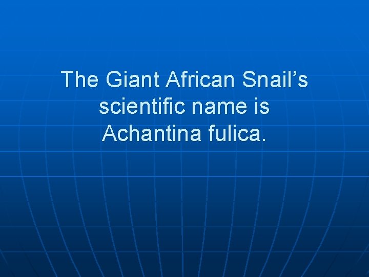 The Giant African Snail’s scientific name is Achantina fulica. 