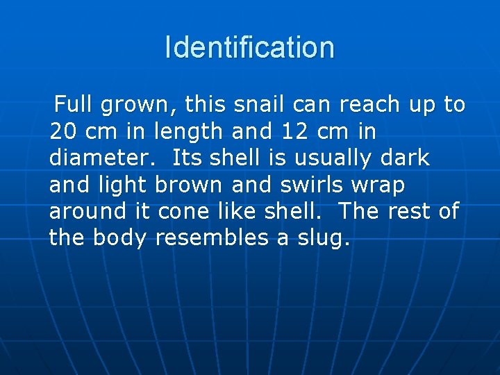  Identification Full grown, this snail can reach up to 20 cm in length