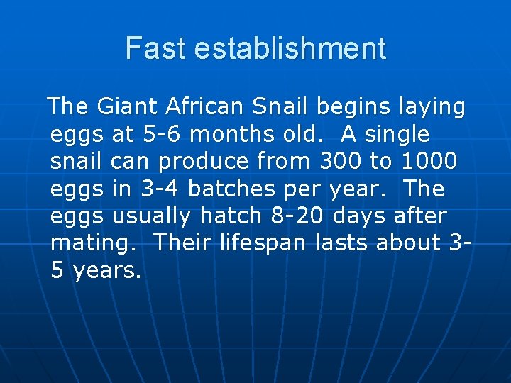 Fast establishment The Giant African Snail begins laying eggs at 5 -6 months old.