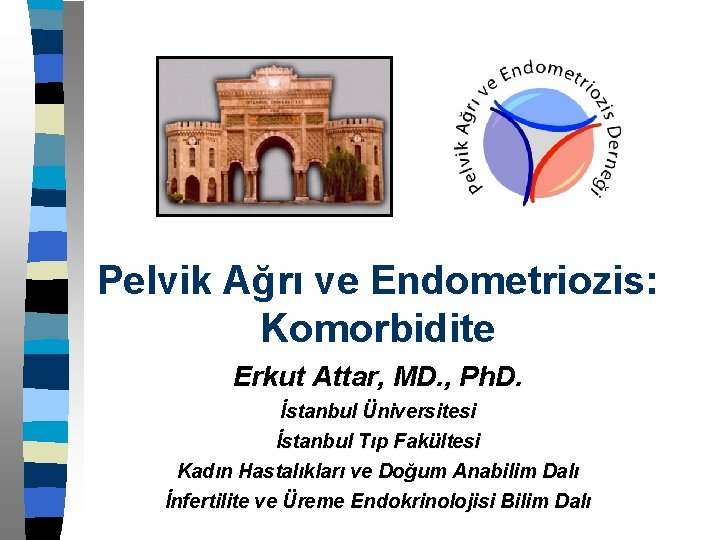 Pelvik Ağrı ve Endometriozis: Komorbidite Erkut Attar, MD. , Ph. D. İstanbul Üniversitesi İstanbul