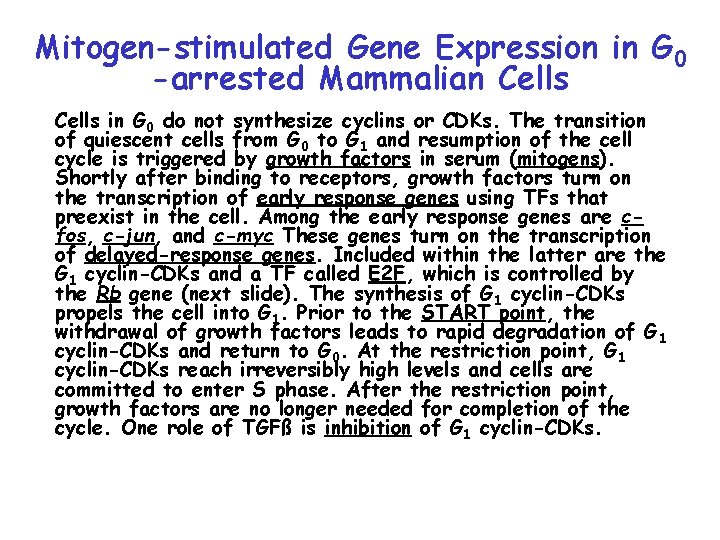 Mitogen-stimulated Gene Expression in G 0 -arrested Mammalian Cells in G 0 do not
