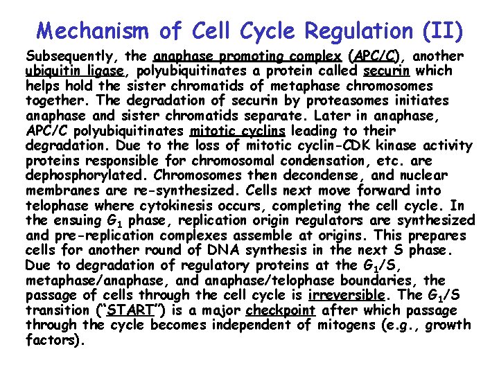 Mechanism of Cell Cycle Regulation (II) Subsequently, the anaphase promoting complex (APC/C), another ubiquitin