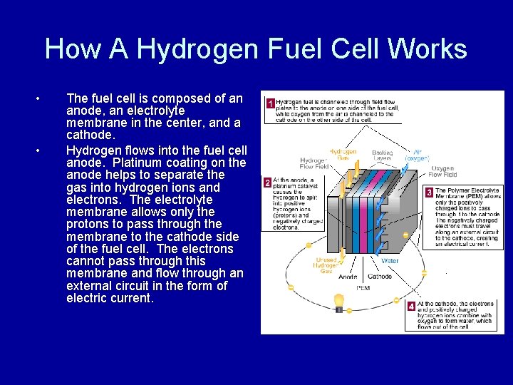 How A Hydrogen Fuel Cell Works • • The fuel cell is composed of