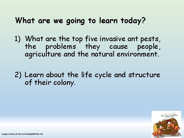 What are we going to learn today? 1) What are the top five invasive