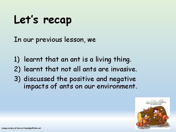 Let’s recap In our previous lesson, we 1) learnt that an ant is a