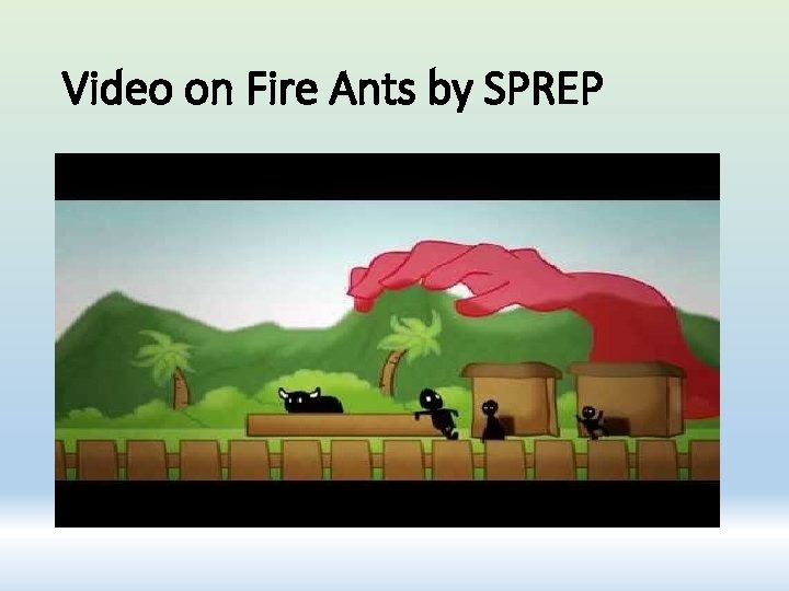 Video on Fire Ants by SPREP 