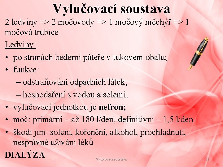 Vylučovací soustava 2 ledviny => 2 močovody => 1 močový měchýř => 1 močová