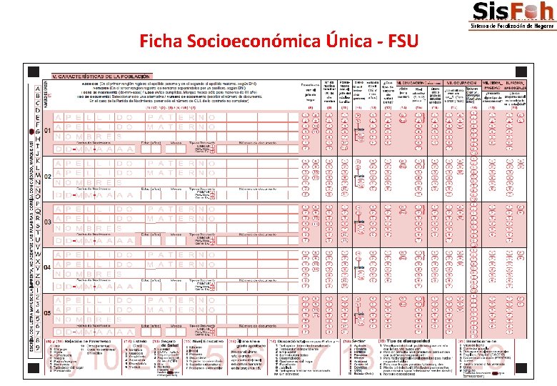 Ficha Socioeconómica Única - FSU 