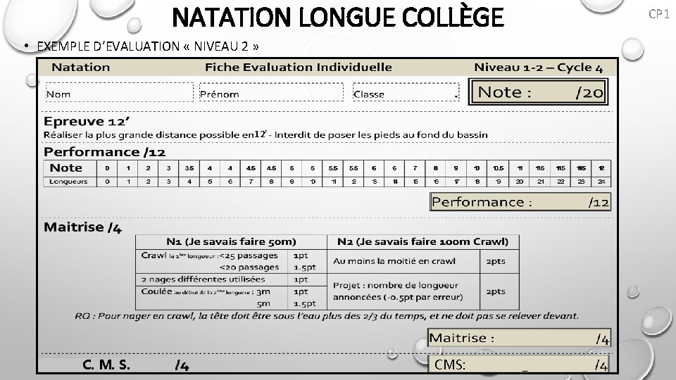 NATATION LONGUE COLLÈGE • EXEMPLE D’EVALUATION « NIVEAU 2 » 12’ C. M. S.