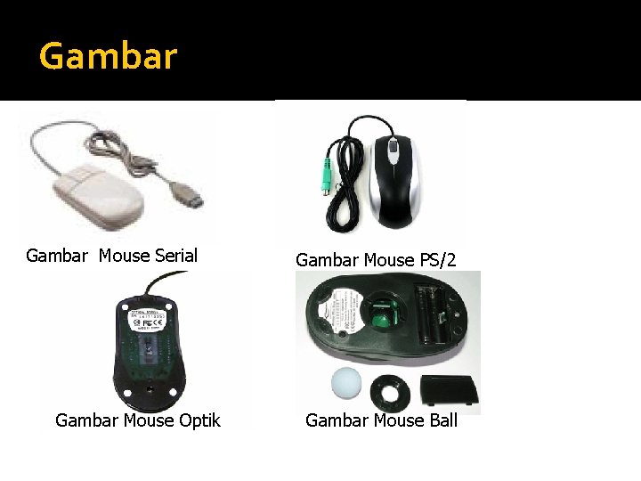 Gambar Mouse Serial Gambar Mouse Optik Gambar Mouse PS/2 Gambar Mouse Ball 