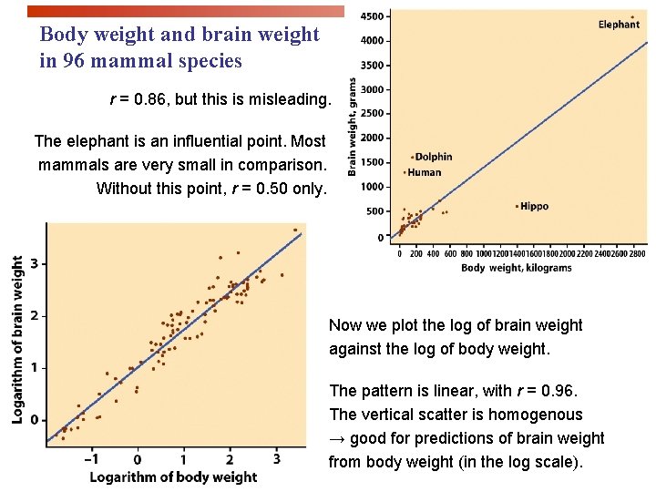 Body weight and brain weight in 96 mammal species r = 0. 86, but