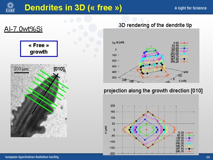 Dendrites in 3 D ( « free » ) 3 D rendering of the