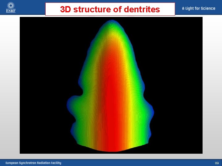 3 D structure of dentrites 89 
