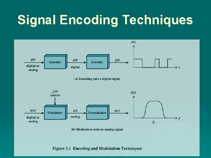 Signal Encoding Techniques 