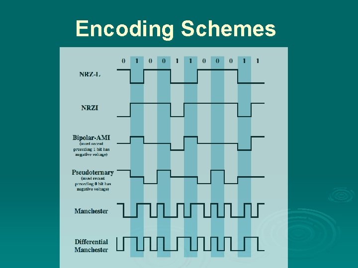 Encoding Schemes 