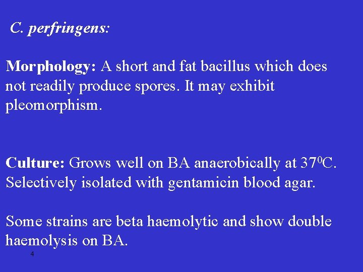 C. perfringens: Morphology: A short and fat bacillus which does not readily produce spores.