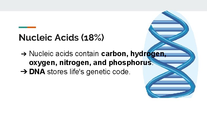 Nucleic Acids (18%) Nucleic acids contain carbon, hydrogen, oxygen, nitrogen, and phosphorus. ➔ DNA