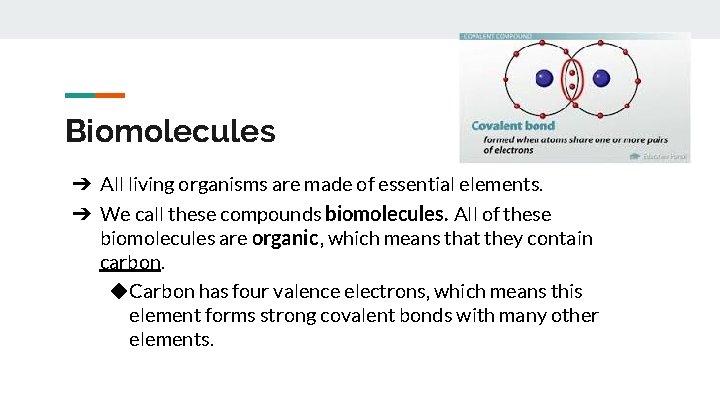 Biomolecules ➔ All living organisms are made of essential elements. ➔ We call these