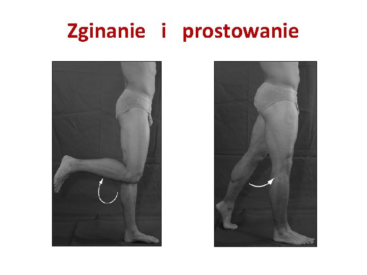 Zginanie i prostowanie 