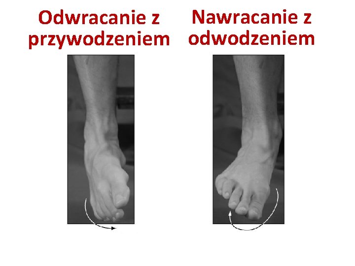 Odwracanie z Nawracanie z przywodzeniem odwodzeniem 