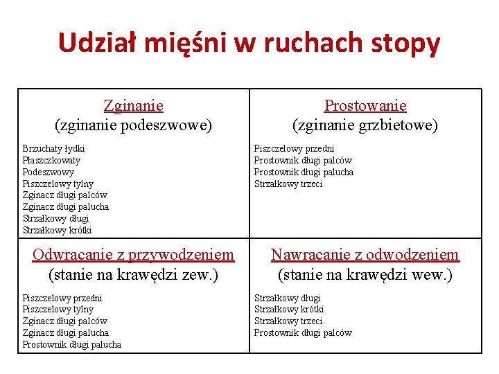 Udział mięśni w ruchach stopy Zginanie (zginanie podeszwowe) Brzuchaty łydki Płaszczkowaty Podeszwowy Piszczelowy tylny
