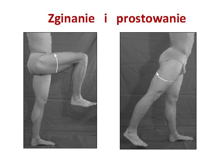 Zginanie i prostowanie 