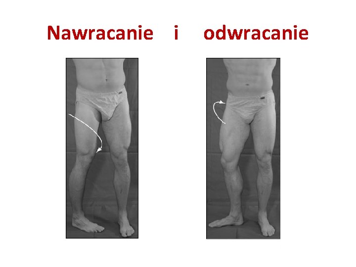 Nawracanie i odwracanie 