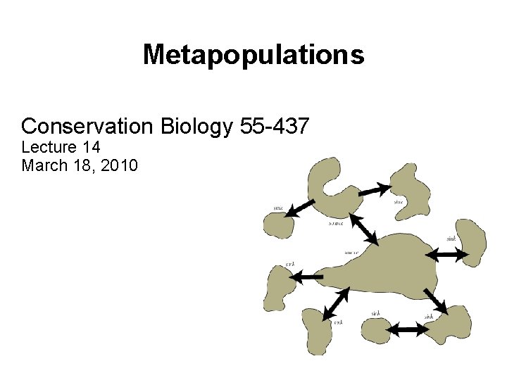 Metapopulations Conservation Biology 55 -437 Lecture 14 March 18, 2010 