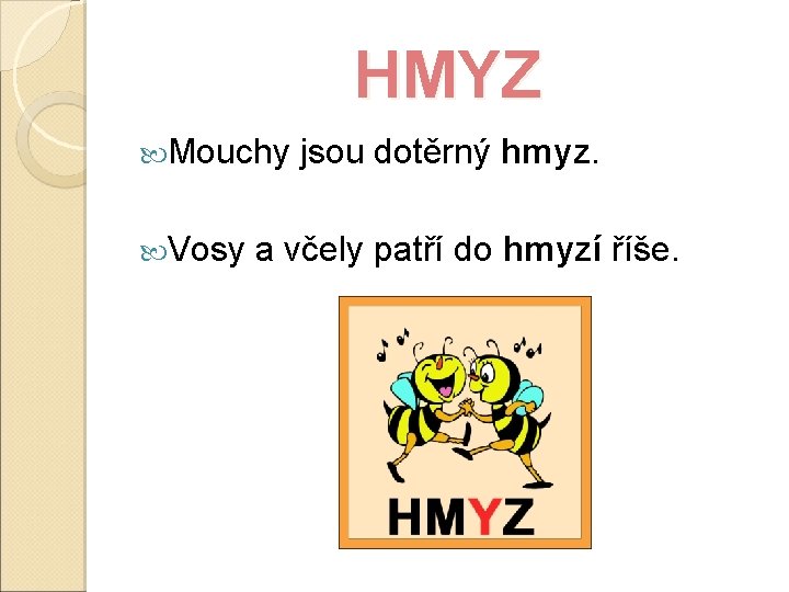 HMYZ Mouchy jsou dotěrný hmyz. Vosy a včely patří do hmyzí říše. 