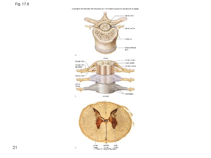 Fig. 17. 8 21 Fig. 17. 8 21