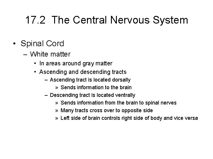 17. 2 The Central Nervous System • Spinal Cord – White matter • In 17. 2 The Central Nervous System • Spinal Cord – White matter • In