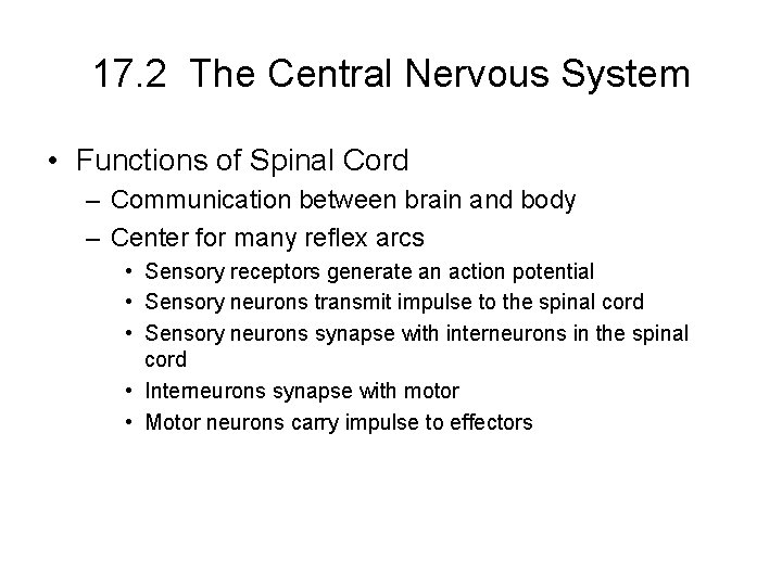 17. 2 The Central Nervous System • Functions of Spinal Cord – Communication between 17. 2 The Central Nervous System • Functions of Spinal Cord – Communication between