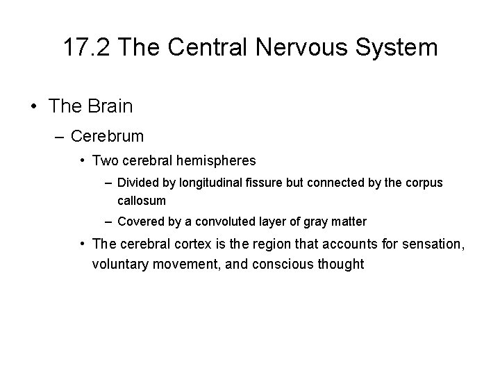 17. 2 The Central Nervous System • The Brain – Cerebrum • Two cerebral 17. 2 The Central Nervous System • The Brain – Cerebrum • Two cerebral