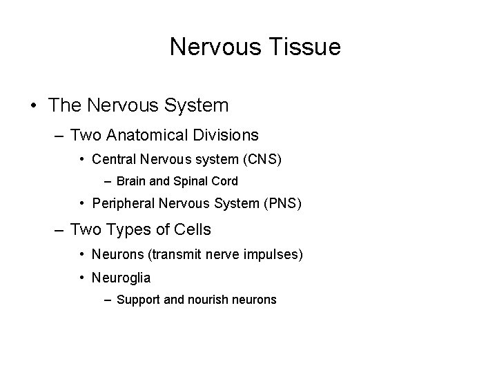 Nervous Tissue • The Nervous System – Two Anatomical Divisions • Central Nervous system Nervous Tissue • The Nervous System – Two Anatomical Divisions • Central Nervous system