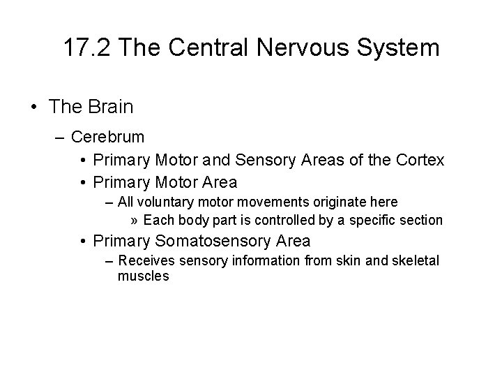 17. 2 The Central Nervous System • The Brain – Cerebrum • Primary Motor 17. 2 The Central Nervous System • The Brain – Cerebrum • Primary Motor