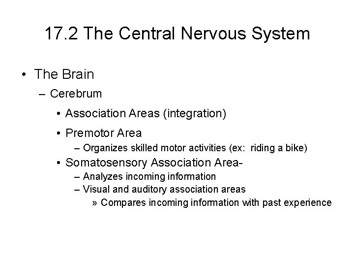 17. 2 The Central Nervous System • The Brain – Cerebrum • Association Areas 17. 2 The Central Nervous System • The Brain – Cerebrum • Association Areas