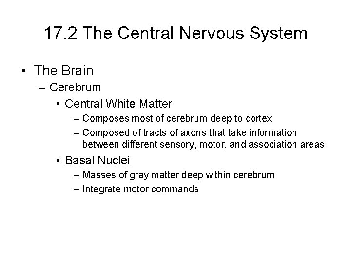 17. 2 The Central Nervous System • The Brain – Cerebrum • Central White 17. 2 The Central Nervous System • The Brain – Cerebrum • Central White