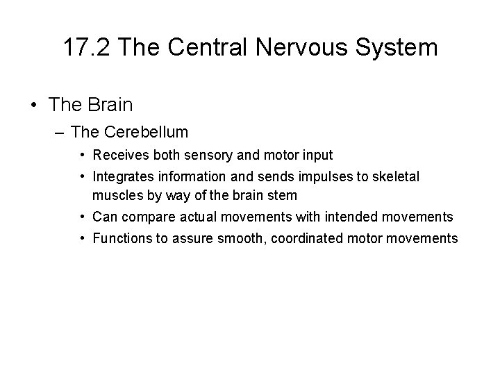 17. 2 The Central Nervous System • The Brain – The Cerebellum • Receives 17. 2 The Central Nervous System • The Brain – The Cerebellum • Receives