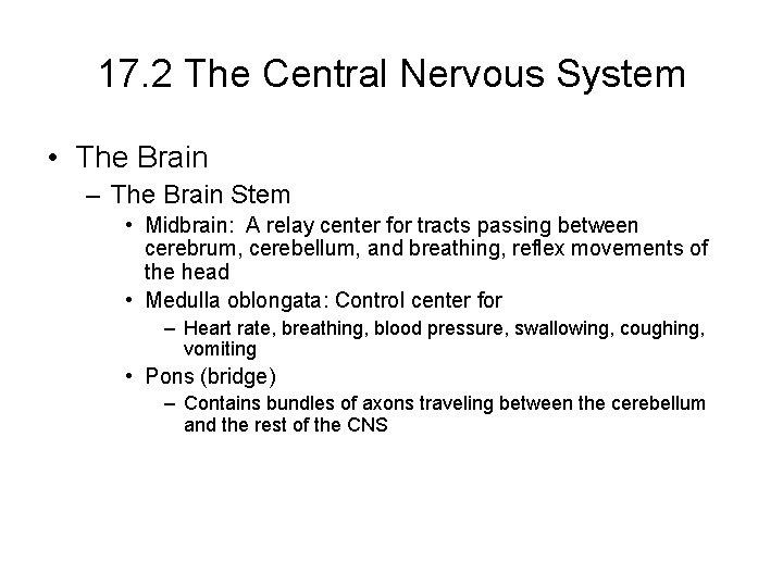 17. 2 The Central Nervous System • The Brain – The Brain Stem • 17. 2 The Central Nervous System • The Brain – The Brain Stem •