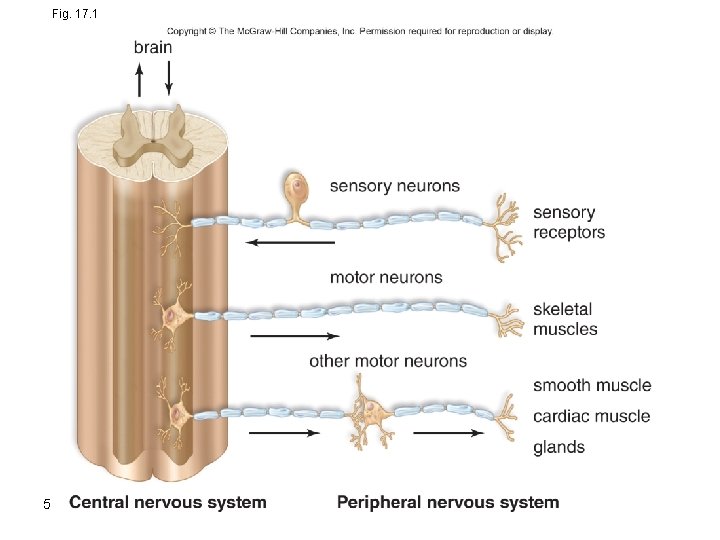 Fig. 17. 1 5 Fig. 17. 1 5