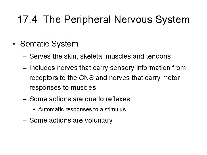 17. 4 The Peripheral Nervous System • Somatic System – Serves the skin, skeletal 17. 4 The Peripheral Nervous System • Somatic System – Serves the skin, skeletal