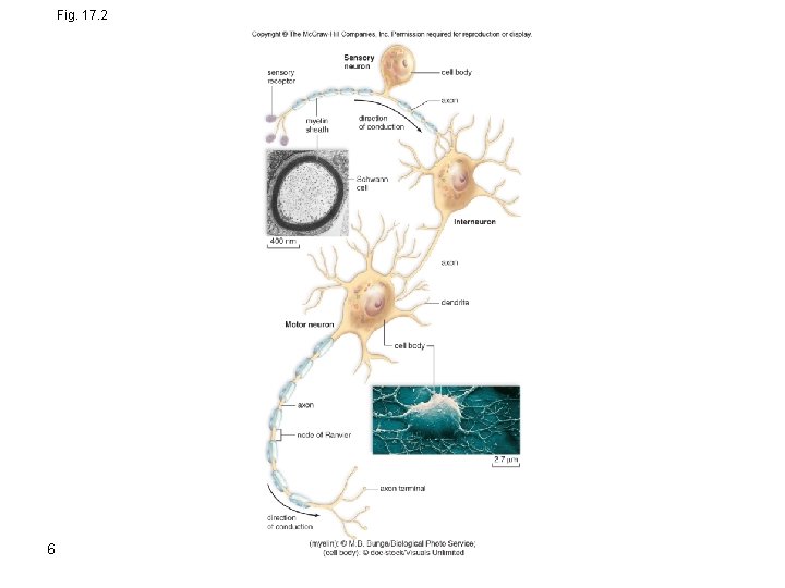 Fig. 17. 2 6 Fig. 17. 2 6