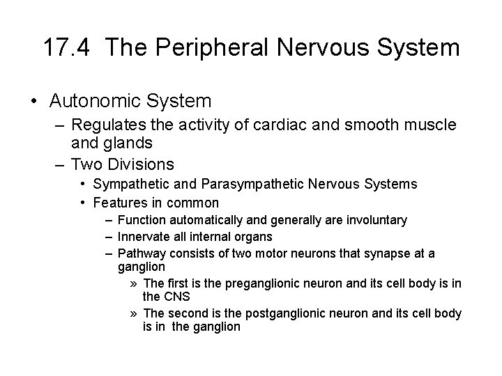 17. 4 The Peripheral Nervous System • Autonomic System – Regulates the activity of 17. 4 The Peripheral Nervous System • Autonomic System – Regulates the activity of