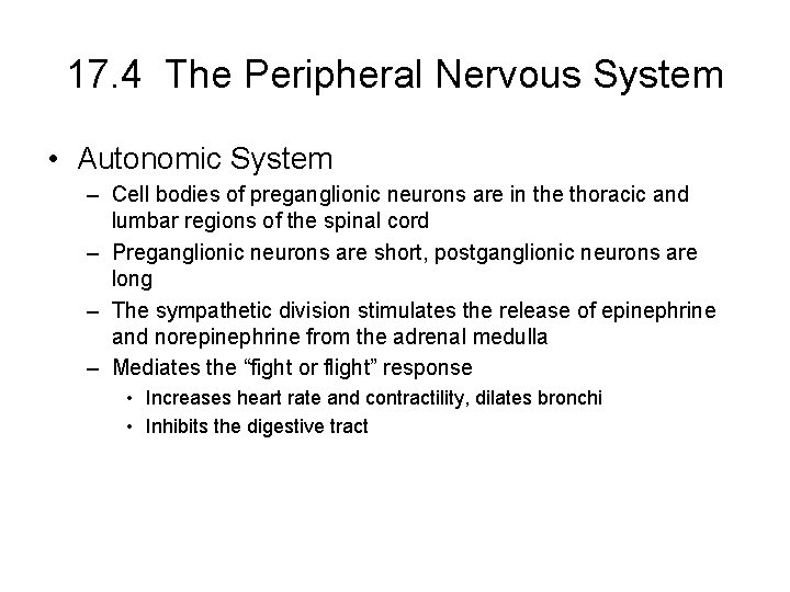 17. 4 The Peripheral Nervous System • Autonomic System – Cell bodies of preganglionic 17. 4 The Peripheral Nervous System • Autonomic System – Cell bodies of preganglionic